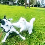 Osrodek Wypoczynkowy U Dobrego Ducha * 涅兹卡城堡