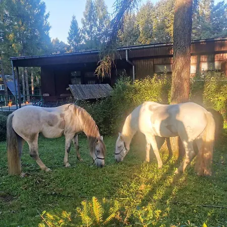 Osrodek Wypoczynkowy U Dobrego Ducha Resort *